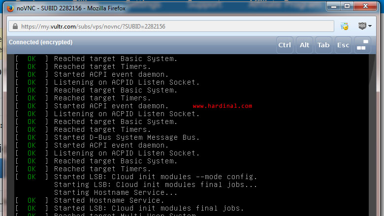 10-console-progress-vultr