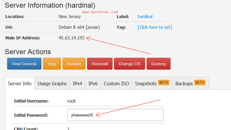 11-informasi-vps-vultr