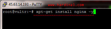 35-install-nginx