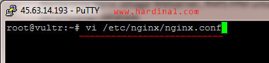 36-nginx-conf
