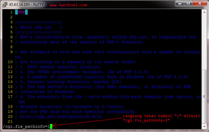 42-find-text-in-vi