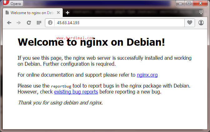 56-working-nginx-on-debian
