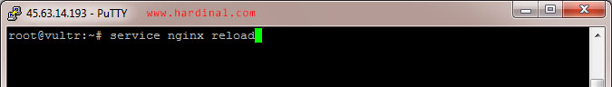 70-service-nginx-reload