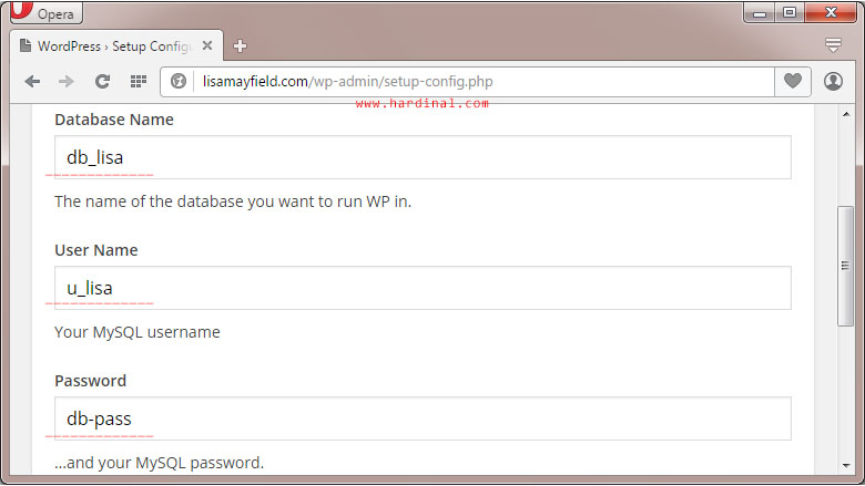 93-wordpress-database-detail