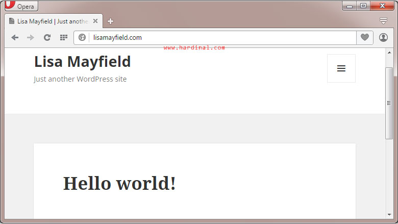 98-demo-domain-homepage