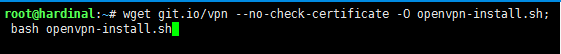 open-vpn-1