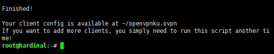 open-vpn-11