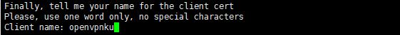 open-vpn-7