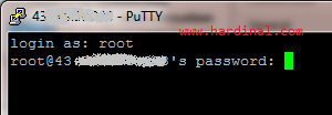 putty-3