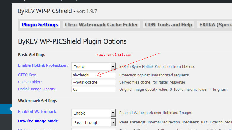 by-rev-wp-picshield-settings-for-nginx