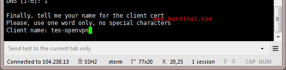 nyr-openvpn-ask-client-name