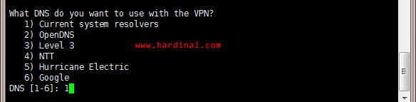 nyr-openvpn-ask-dns