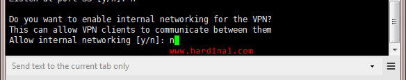 nyr-openvpn-ask-internal-networking