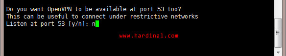 nyr-openvpn-ask-port-n