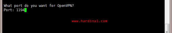 nyr-openvpn-ask-port