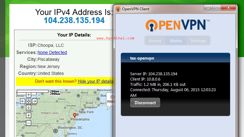 openvpn works