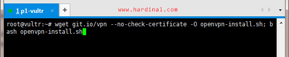 wget-nyr-openvpn