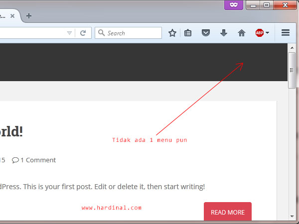 tidak ada menu wordpress