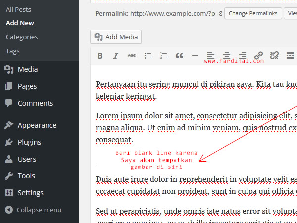 111 tambah postingan wordpress