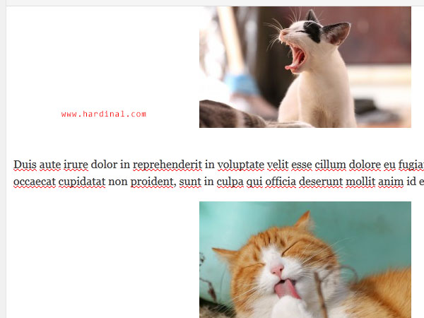 116 tambah gambar wordpress