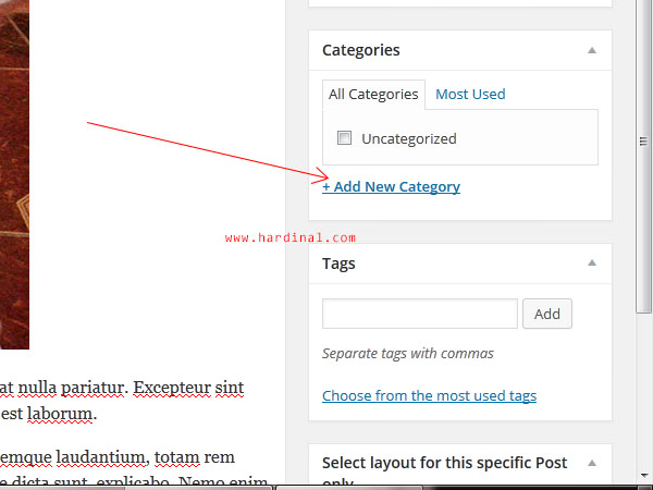 117 tambah category wordpress