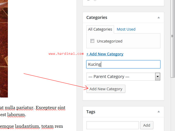 118 tambah category wordpress