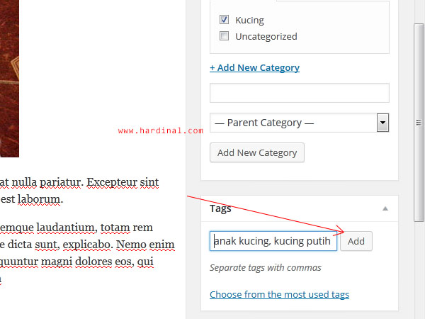 119 tambah tags wordpress