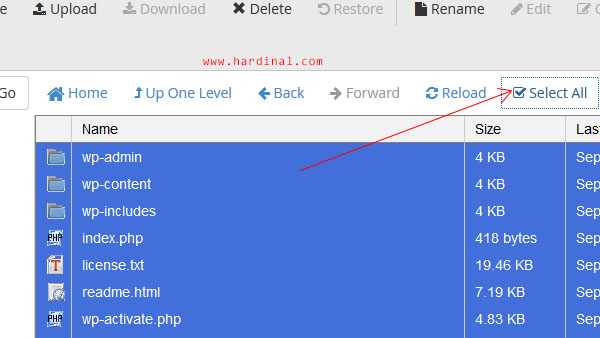 58 install wordpress secara manual cpanel