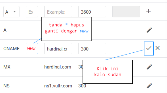 DNS Vultr edit